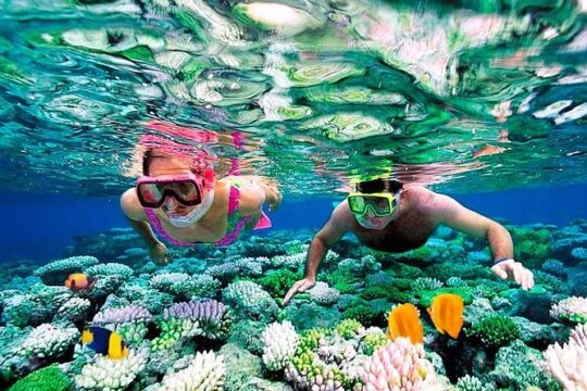 Riviera Maya Snorkeling