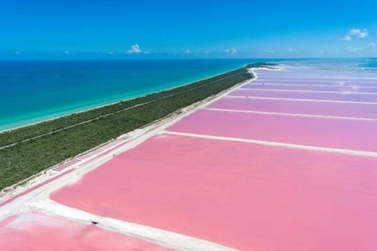 Las Coloradas & Rio Lagartos Private Tour pickup from Cancun or Riviera Maya