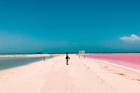 Pink Lake Las Coloradas + Rio Lagartos Reserve! Transportation from Cancun