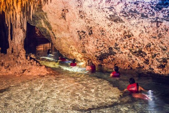 Tulum Ruins, Turtle Sightseeing & Underground Cenote from Tulum