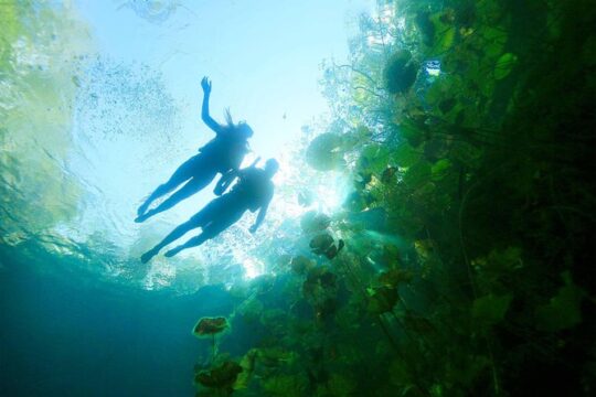 Unforgettable Xenotes Tour: Discover and Explore This Hidden Gem!