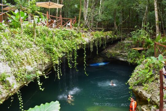 Discover 3 amazing cenotes. Includes transport & snack