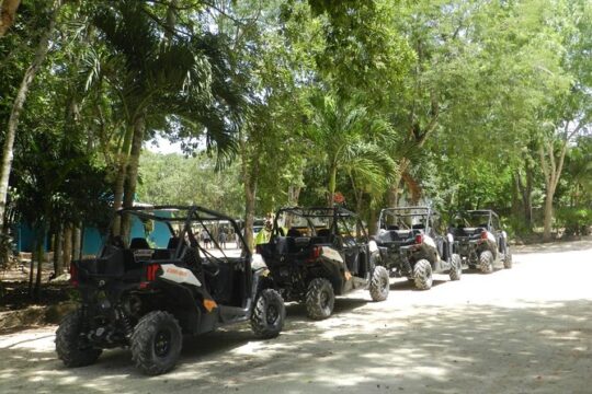 Jungle Buggy Ride with Transportation from Playa del Carmen