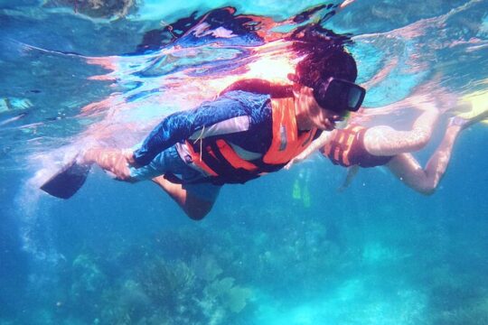 Half Day National Reef Park Snorkel Adventure in Puerto Morelos