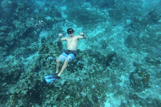 Snorkeling Experience in Cozumel with Transportation from Cancun