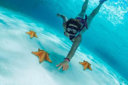 Explore El Cielo in Cozumel. Snorkel in 3 different reefs & visit Cielito Beach.