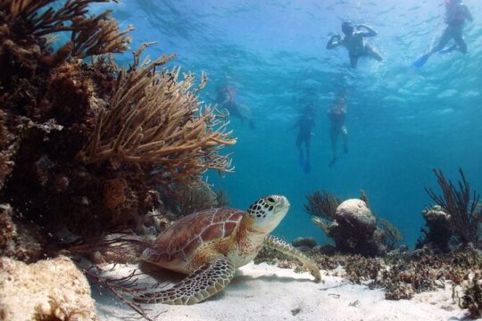 Sian Kaan Biosphere, Nature Eco Reserve! From Playa Del Carmen & Cancun