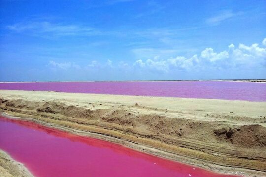 Pink Lake and Rio Lagartos Tour from Playa del Carmen and Cancun