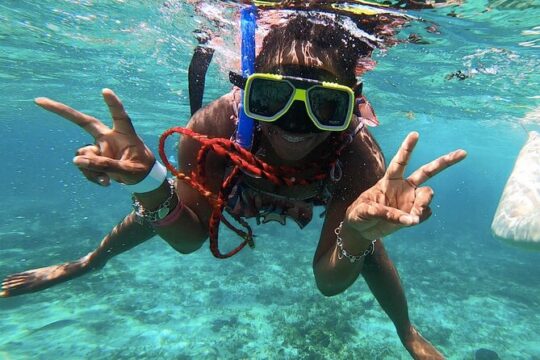 Puerto Morelos Snorkeling: Discover Vibrant Underwater Life!