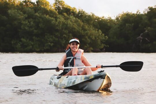 Lagoon Mangrove Tour, Kayaking and Sightseeing from Cancun