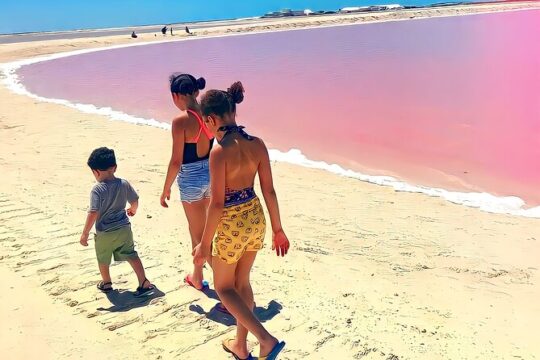 Pinktastic Lagoon Adventure Las Coloradas & Rio Lagartos from Cancun