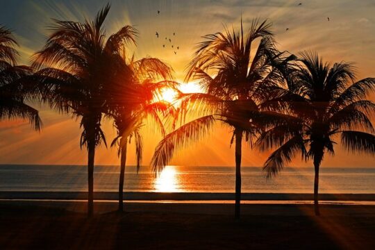 Catamaran to Isla Mujeres at sunset pick up Cancun