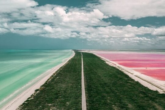 Full Day Tour to Coloradas & Rio Lagartos from Cancun