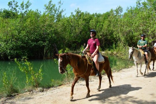STROLL the Jungle Trails on a HORSE. Includes Transportation and Equipment.