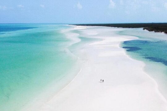 Hidden Beauty at Holbox Island Tour! From Cancun & Riviera Maya