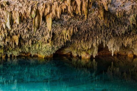 Cobá Archeological Zone and Cenotes Private Tour