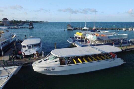 Private Boat Unlimited Party to Isla Mujeres + Transfer from Playa del Carmen