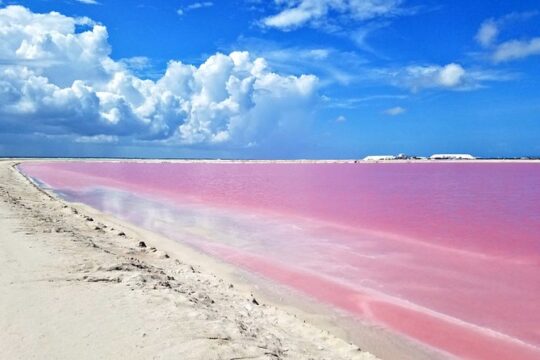 Gorgeous Natural Pink Lake, Las Coloradas Tour! From Cancun & Riviera Maya