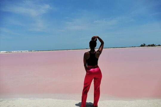 Las Coloradas Tour! Boat Ride, Lunch & Rio Lagartos from Cancun