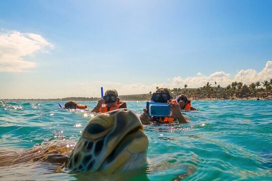 Experience swimming with turtles and explore the ruins of Tulum. Lunch included.