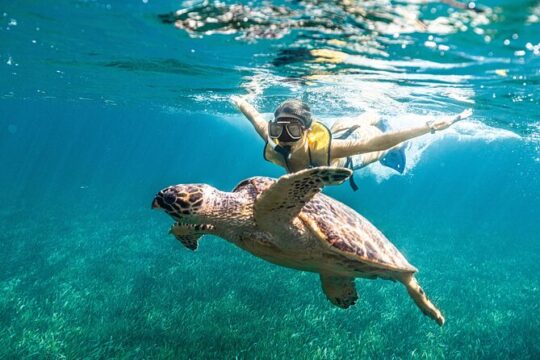 Snorkeling 5 in 1 + El Meco Ruins