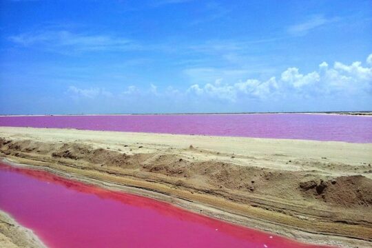 Pink Lagoon and Rio Lagartos from Cancun