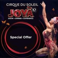 Cirque du Soleil