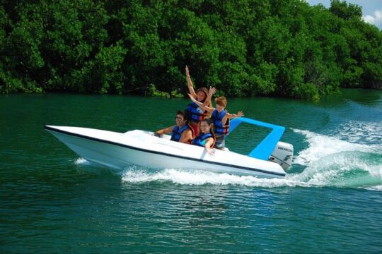 Speedboat jungle tour and snorkel