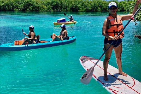 Paddleboard Kayak Tour in Cancun