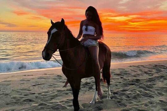 Horseback Riding on the Beaches of Holbox