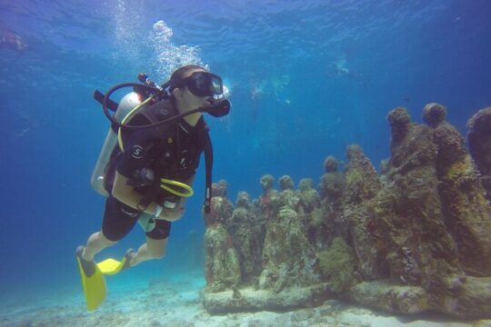 MUSA Diving For Beginners in Cancun