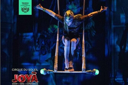 Cirque du Soleil JOYA Admission Tickets