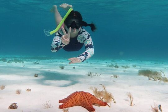 Discover 2 jewels Island from Caribbean Sea - Isla Mujeres & Cozumel