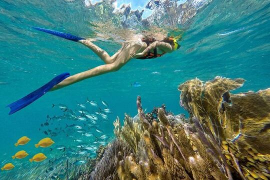 Puerto Morelos Reef Snorkeling Tour with Pickup