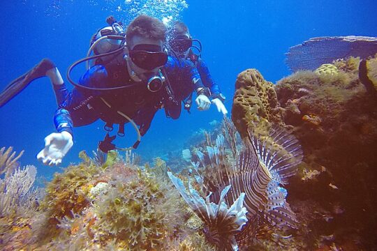2 Tanks Scuba Diving in Punta Cancun Reefs for Certified Divers