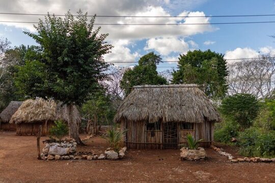 Full Day Tulum Coba Cenote Mayan Village 5th Ave Playa del Carmen