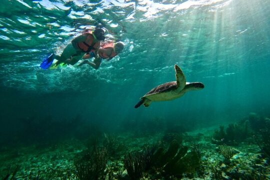 Snorkeling Guided Activity in Puerto Morelos Mexico