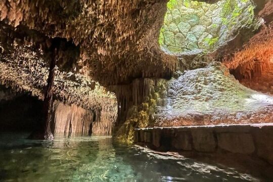 Zapote Cenotes Adventure Tour Prehistoric Park