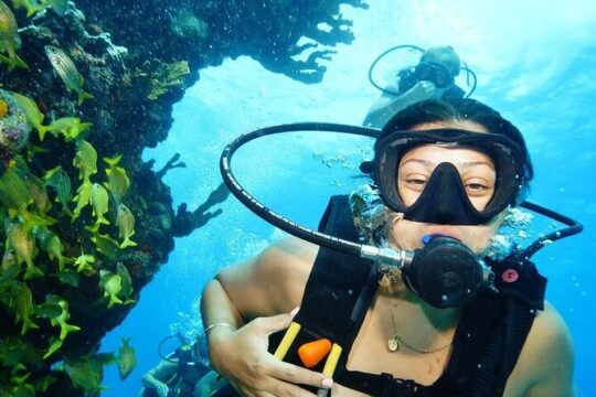 Two Reef Dives for Certified Divers in Cancun