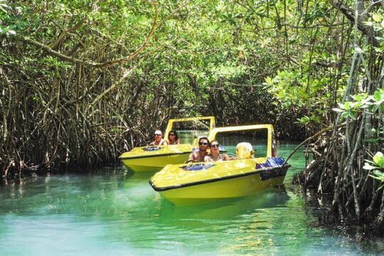 Speedboat and snorkel adventure