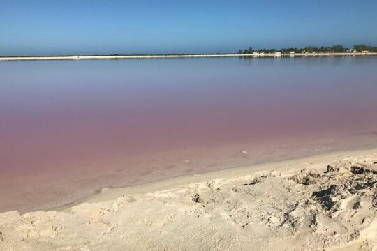 LAS COLORADAS & RIO LAGARTOS from Riviera Maya and Cancun (Private)