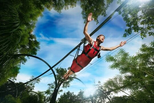 Day Trip from Cancun to Xavage Adventure Park