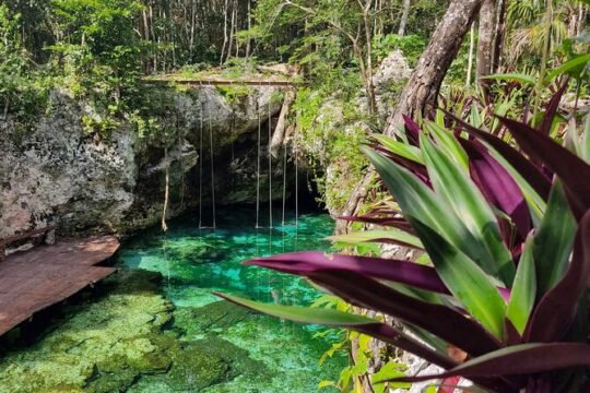 Tulum, Cenote Mariposa & Playa del Carmen from Cancun Luxury Tour