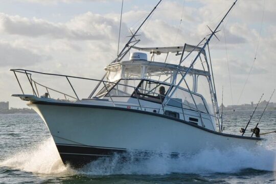 Bertram 35ft boat sport fishing cancun up to 6 passengers