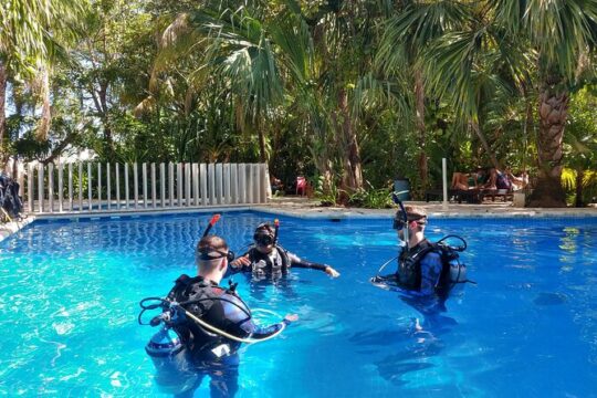 2 Days Class: SDI Open Water Diver Certification in Cancun