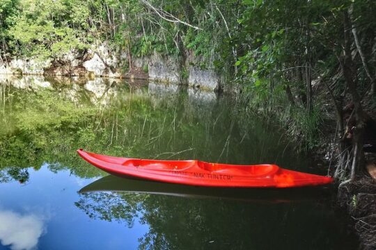 Expeditions of Cenotes in Puerto Morelos