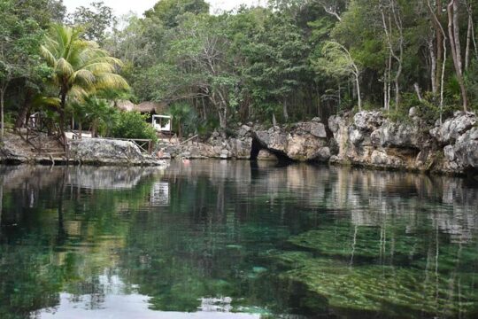 Half Day Cenotes Tour