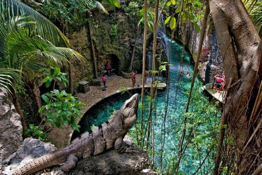 Xcaret 1 Day Tour from Cancun with Hotel Transfer