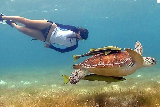 Tulum Ruins & Snorkeling with Sea Turtles Private Tour