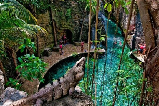 Xcaret Park, Buffet & Night Show! Roundtrip from Cancun